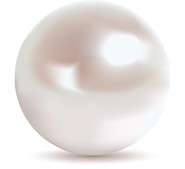 pearl-2-185x169