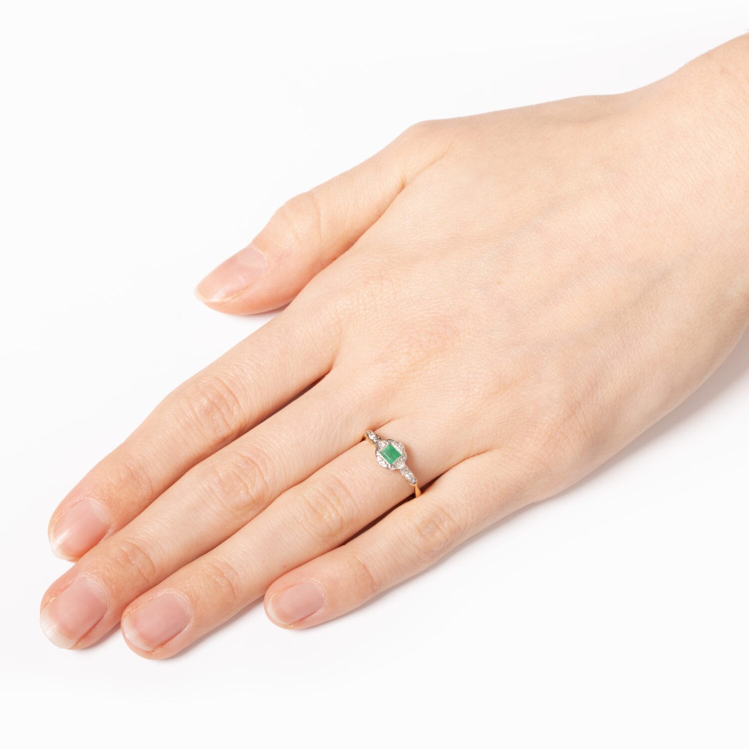S4069 HAND